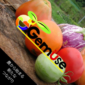 学生農業団体Gemuse
